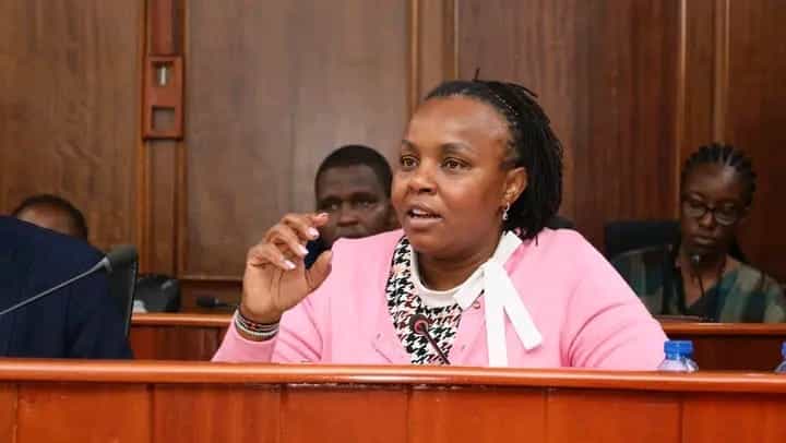 Casa Vera Lounge Fined Ksh1.8 M For Posting Reveler'S Photo Data Commissioner Immaculate Kassait Speaks During A Grilling Session At Parliament Buildings.