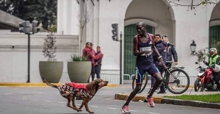 How Kenyan Athlete Lost Ksh1M After Being Chased By A Dog Kenyan Athlete Chased Down By A Stray Dog Finishes Third