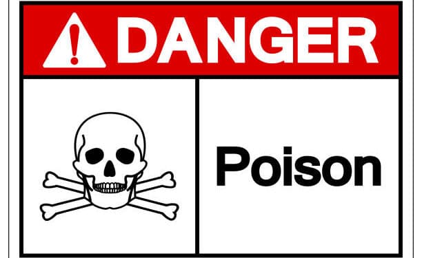 Govt Recalls Paracetamol, Warns Against Use