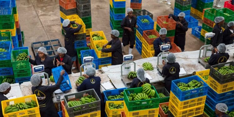 Kenya Beats Nigeria, South Africa As Leading Investment Destination Startups: Kenya Emerges Leading Investment Destination
