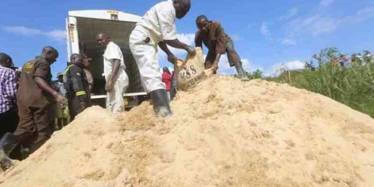Contaminated Sugar Destroyed In 2018. Photo/Standard.