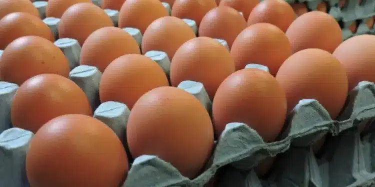Why The Rise In Prices Of Eggs Has Led To Food Inflation