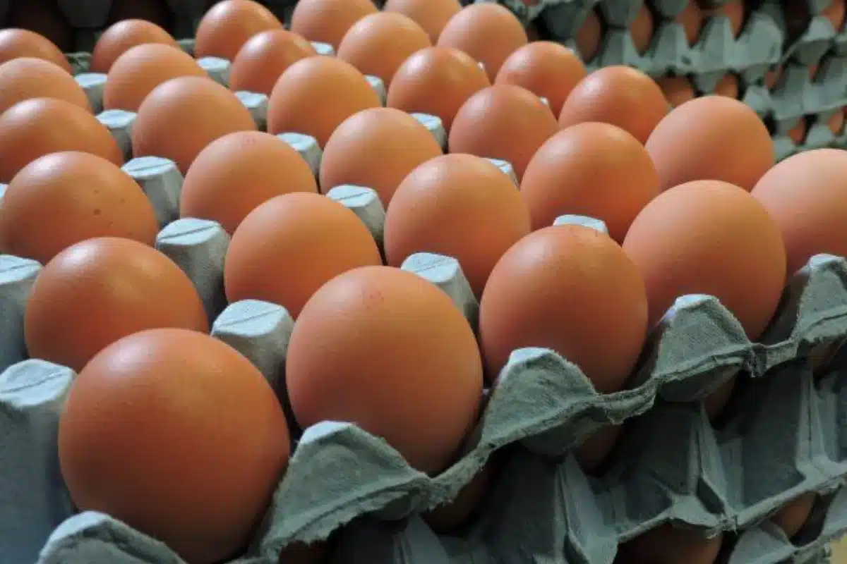Why The Rise In Prices Of Eggs Has Led To Food Inflation