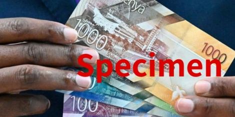 Kenya Notes