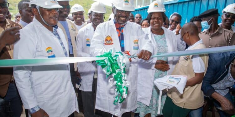Report Reveals Raila Launched Poisonous Unga