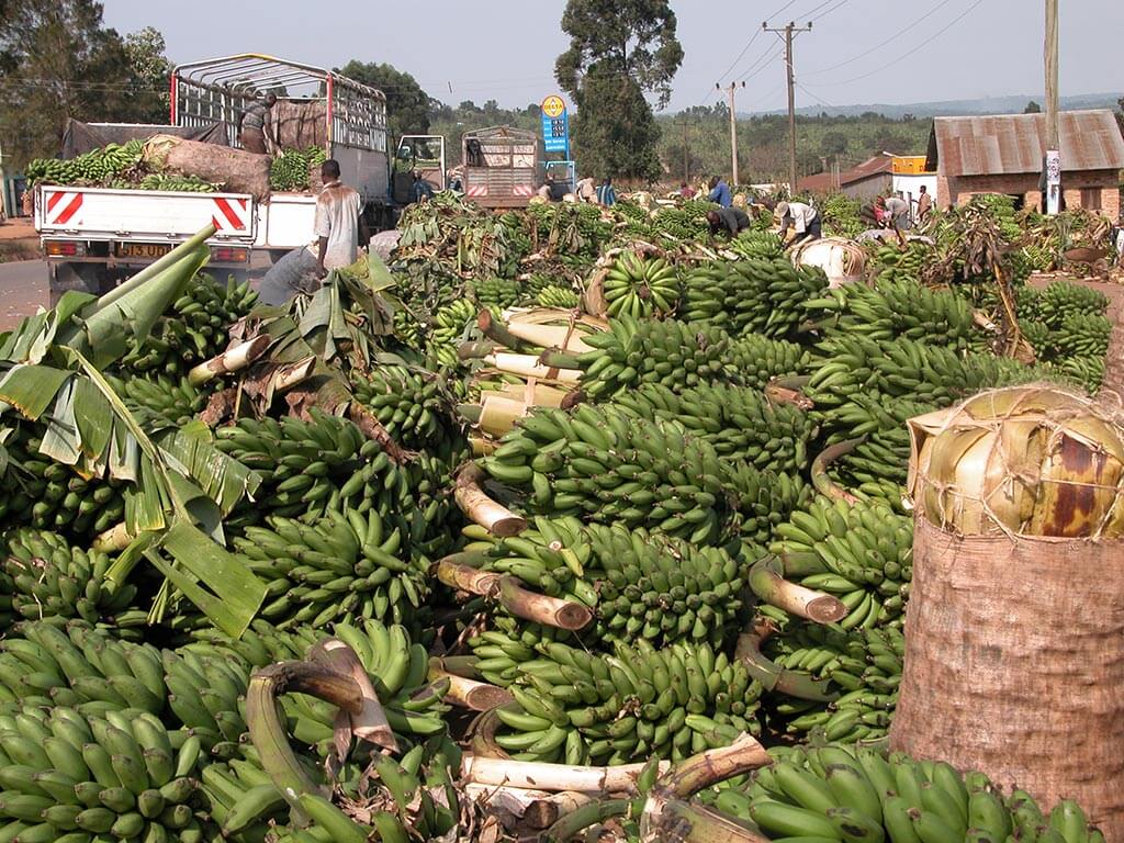 10 Items That Are Cheaper In Uganda Than Kenya 10 Items That Are Cheaper In Uganda Than Kenya