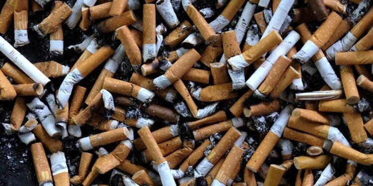 Smoking Taxes For Better Health And Development