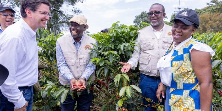 Kindiki, Linturi Ranked Top Among Best Performing Css- Poll