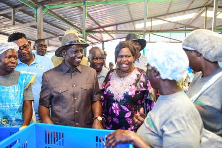 List Of Govt Entities Earmarked For Sale In Ruto Radical Plan List Of Govt Entities Earmarked For Sale In Ruto'S Radical Plan