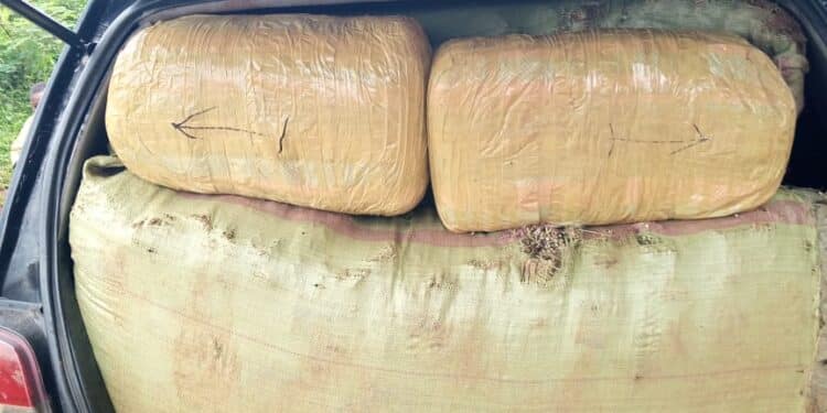 Police Intercept Cars Ferrying Bhang Worth Ksh.17M In Kisii