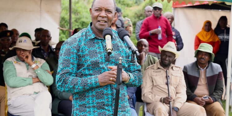 Kenya Kwanza Has Not Introduced Any New Tax - Cs Njuguna Ndung'U