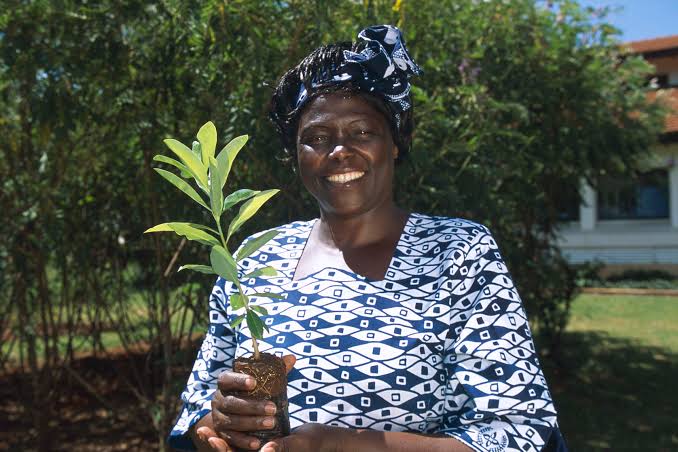 Nobel Prize Winner Prof. Wangari Maathai Appeared On Times Magazine List.