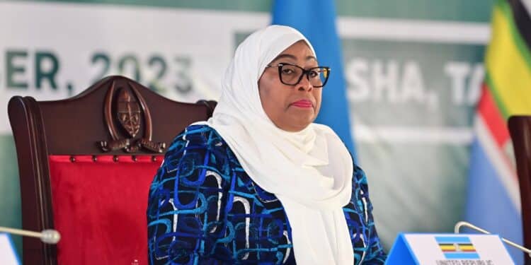 Suluhu Dfferd With Ruto Over Climate Financing
