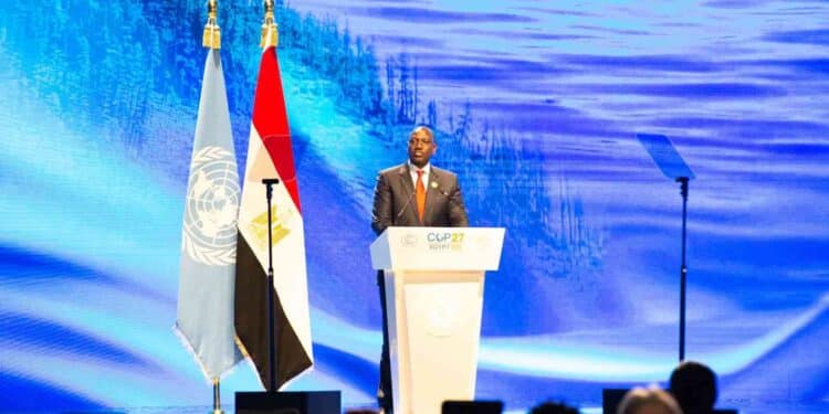 Tanzanian Climate Activists Decry Over Jkia Delays