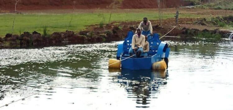Amazement Park Where 5 Kcpe Candidates Died Shut Down Police In Eldoret Have Arrested Two People Following The Tragic Boat-Riding Incident That Resulted In The Drowning Of Five Pupils From Arap Moi Primary School In Uasin Gishu County. The Unfortunate Incident Occurred On Saturday Evening In A Man-Made Dam. On Monday, Detectives Visited The Dam Along The Kapsengweti Stream And Apprehended The Directors Of Amazement Park, Which Holds The Water Body. The Two Who Are A Man And His Wife Are Due To Be Charged In Court. Uasin Gishu County Police Commander Benjamin Mwanthi Confirmed The Arrests, Noting That An Inquest File Has Been Opened By Dci Ainabkoi. Ps For Basic Education, Dr Belio Kipsang, Also Visited The Amazement Park On Monday. He Said One Candidate Who Survived The Tragedy Had Been Discharged From The Hospital And Was Taking Exams.