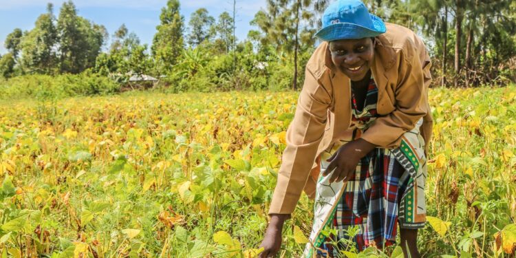 Meet Kenyan Icon Recognized By Who For Fight Against Tobacco