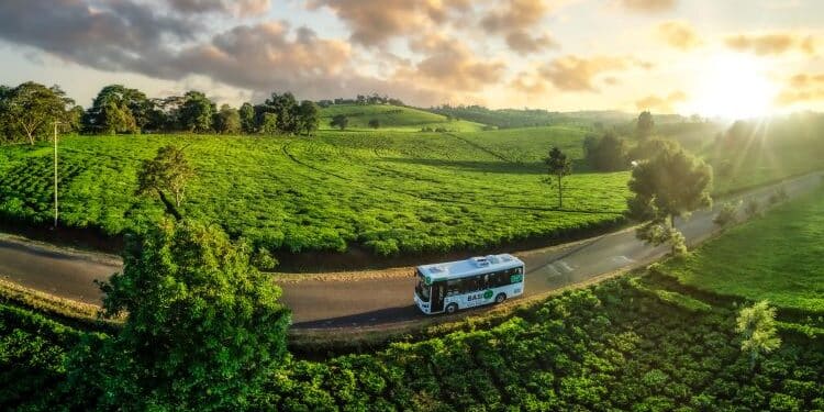Nairobi-Based Startup Secures Ksh765M Funding Basigo Has Received 5 Million Dollars Debt