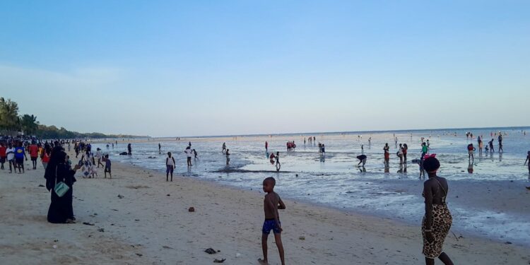 No Alcohol Allowed At The Beach: New Beach Restrictions