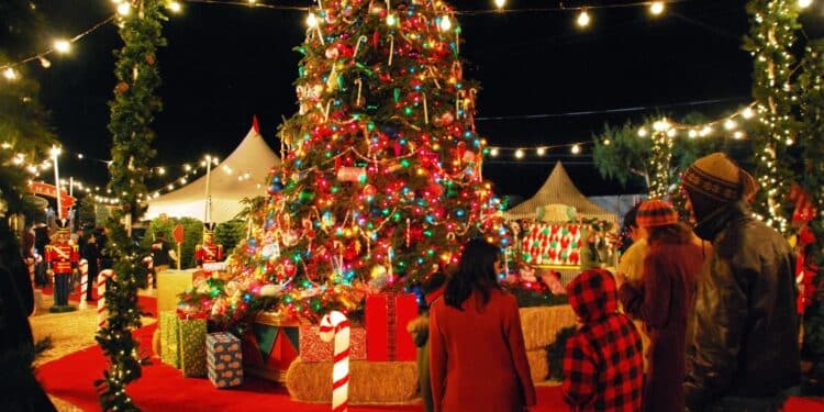 Items You Should Not Spend Your Money On During Holidays