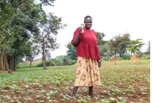 Kenyan Woman Recognized By Who For Fight Against Tobacco