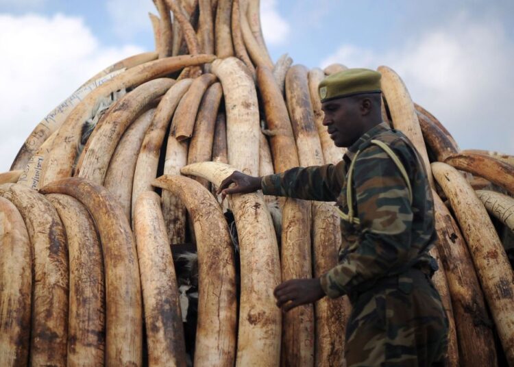 Wildlife Crimes -What A Wild Crime