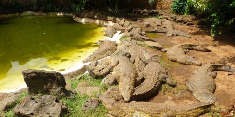 Places To Visit In Nairobi Under Ksh1000