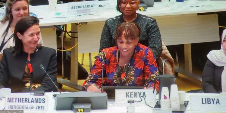 Kenya Selected For United Nations Global Role