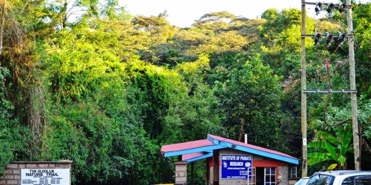 Places To Visit In Nairobi Under Ksh1000