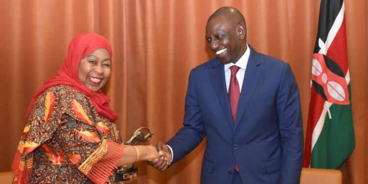 Uproar As Kenyans Compare Suluhu And Ruto'S Reaction To El Nino