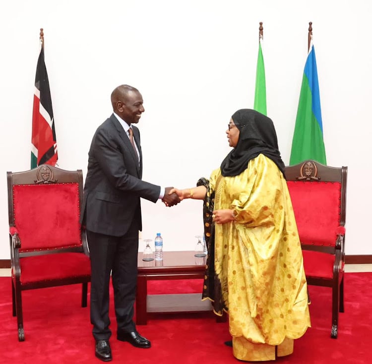 Kenya Bows To Pressure After Tanzania'S Threat To Ban Flights