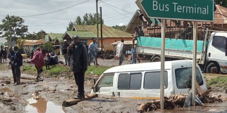 Kenyans Call Out Ruto As Suluhu Cuts Short Her Trip Over El Nino