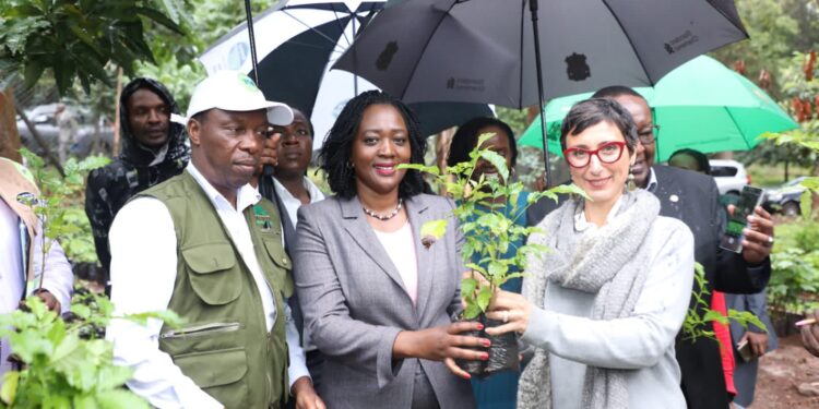 Soipan Tuya Credits Ruto For Continental Recognition