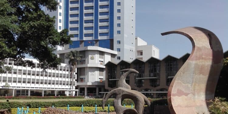 Kenyans React As Unemployed Graduate Confesses Hard Decision