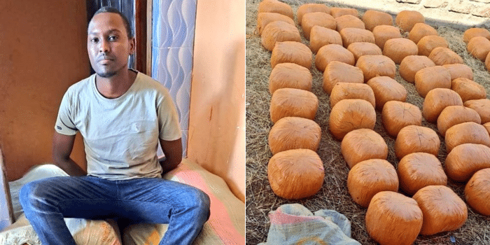Dci Arrests Politician Ferrying Bhang In Land Cruiser