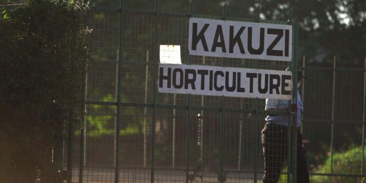 Kakuzi Issues Profit Warning, Cites China'S Low Demand Kakuzi Issues Profit Warning, Cites China'S Low Demand