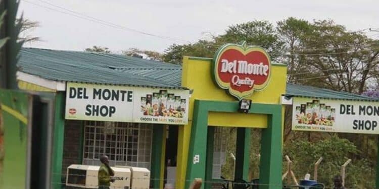 Deaths Reported After 4 Men Allegedly Steal Fruits At Del Monte Farm Deaths Reported After Men Allegedly Steal Fruits At Del Monte