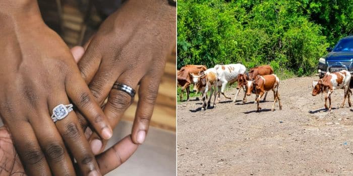 Is It Possible To Ask For Dowry Refund- Experts Clarify