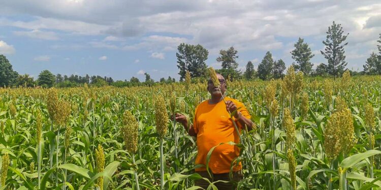 Government Has Supported Coffee Farmers