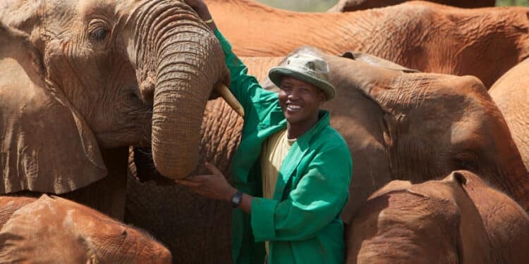 Kenya'S National Park Ranked Among Top Global Destinations For 2024 Kenya'S National Park Ranked Among Top Global Destinations For 2024