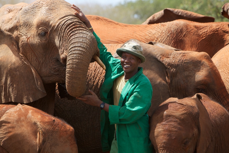 Kenya'S National Park Ranked Among Top Global Destinations For 2024