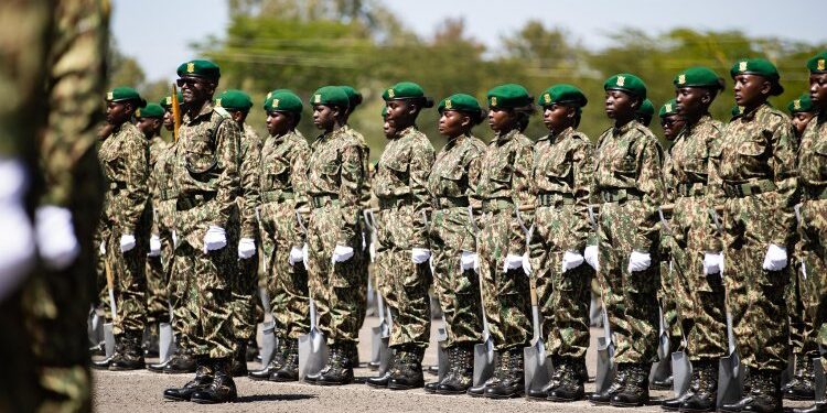 Nys Announces 128 More Vacancies For Graduates In Australia