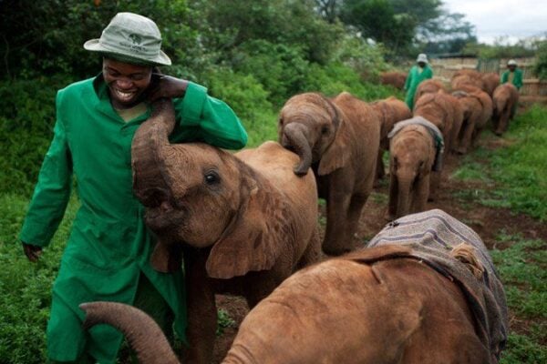 Kenya's National Park Ranked Among Top Global Destinations For 2024 Kenya's National Park Ranked Among Top Global Destinations For 2024