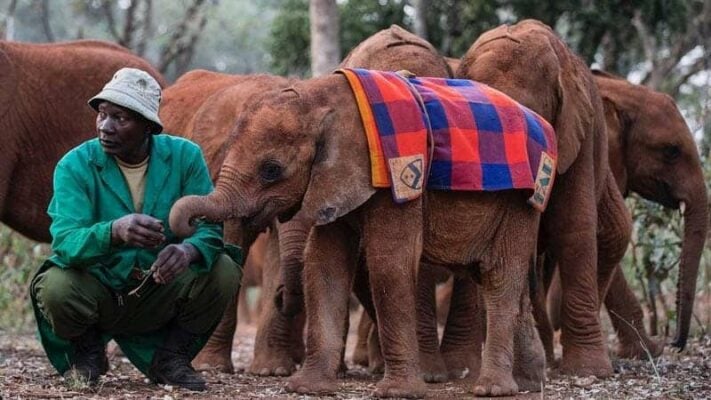 Kenya's National Park Ranked Among Top Global Destinations For 2024 Kenya's National Park Ranked Among Top Global Destinations For 2024