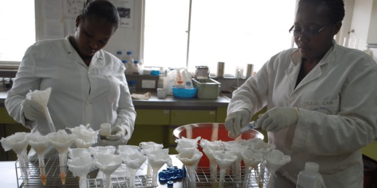 Kenya Confirms Cholera Outbreak Linked To Chinese Monkeys 
