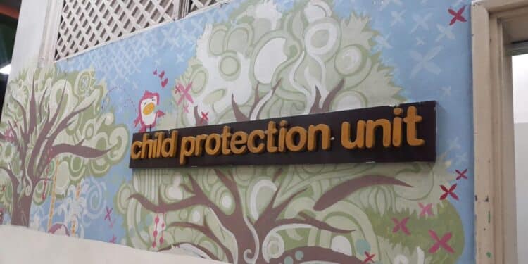 The Role Of Child Protection Units In Combating Sgbv The Vital Role Of Child Protection Units In Combating Sgbv