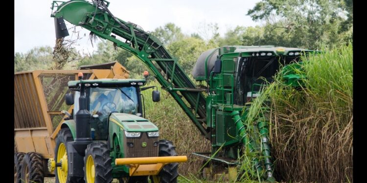Workers Of 4 Sugar Millers To Get Paid After Audit 