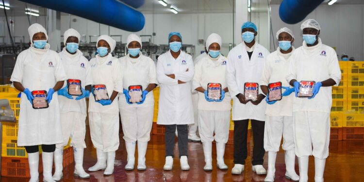 Kenchic Opportunities For Poultry Farmers; How To Apply
