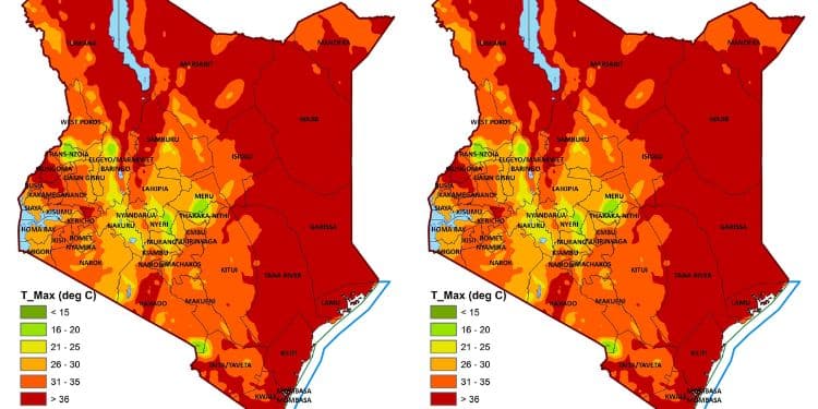 Opening Curtains &Amp; Other Things To Avoid During Heatwaves