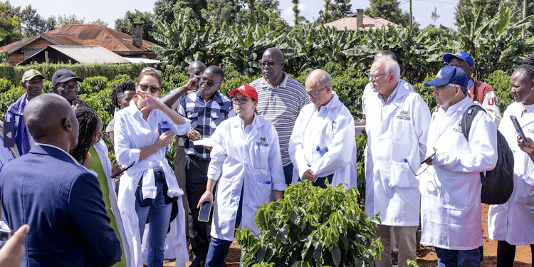 Foreign Tycoons Camp In Kenya After Gachagua'S Trip To South America Colombia Coffee Traders In Kenya After Gachagua Visit