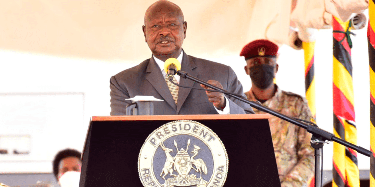 Museveni Shares Tips On Being Successful Politician President Yoweri Museveni. Photo/Museveni Yoweri/X